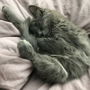 Meet your Posher, Allyson